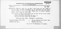 Didymella pisi image